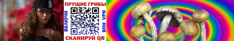 Галлюциногенные грибы мухоморы  Спасск-Дальний 